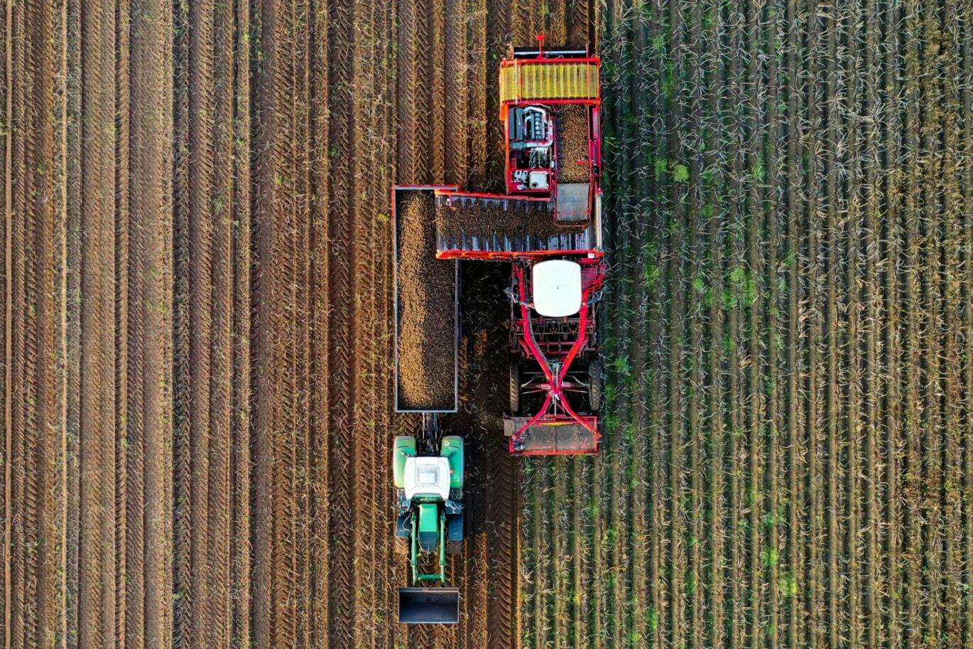 Nederlandse landbouwgrond